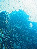 IMG_0108.JPG