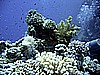 IMG_0109.JPG