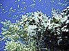 IMG_0110.JPG