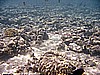 IMG_0113.JPG