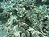 IMG_0114.JPG