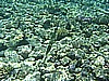 IMG_0115.JPG
