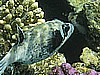 IMG_0117.JPG