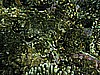 IMG_0119.JPG