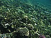 IMG_0120.JPG