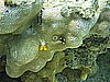 IMG_0121.JPG