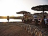 STF_0143.JPG