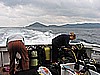 IMG_0230.JPG