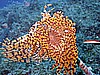 IMG_0236.JPG
