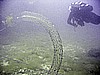 IMG_0242.JPG