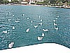 IMG_0243.JPG