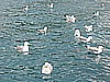 IMG_0244.JPG