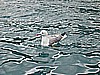 IMG_0246.JPG