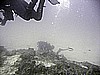 IMG_0254.JPG