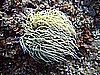 IMG_0261.JPG