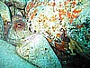 IMG_0263.JPG
