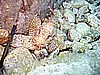 IMG_0264.JPG