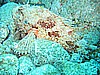 IMG_0266.JPG