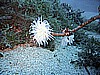 IMG_0306.JPG