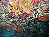 IMG_0307.JPG