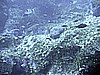 IMG_0311.JPG