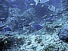 IMG_0312.JPG