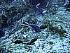 IMG_0313.JPG