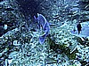 IMG_0314.JPG