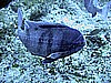 IMG_0315.JPG