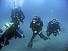 IMG_0316.JPG