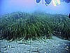 IMG_0317.JPG