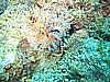 IMG_0325.JPG