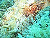IMG_0326.JPG