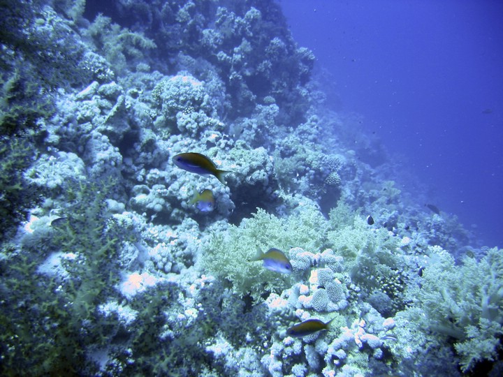 IMG_0712.JPG