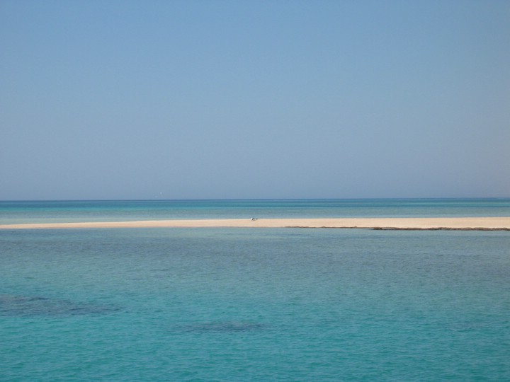 IMG_0730.JPG