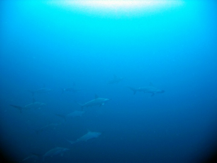 IMG_0740.JPG
