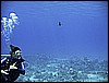 IMG_0687.JPG