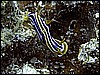 IMG_0688.JPG