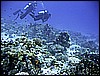 IMG_0700.JPG
