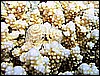 IMG_0702.JPG