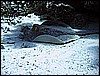 IMG_0705.JPG