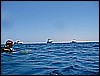 IMG_0708.JPG