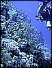 IMG_0711.JPG