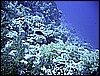 IMG_0712.JPG