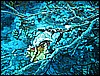 IMG_0718.JPG