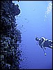 IMG_0723.JPG