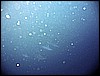 IMG_0737.JPG