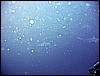 IMG_0738.JPG