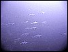 IMG_0739.JPG