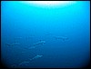 IMG_0740.JPG